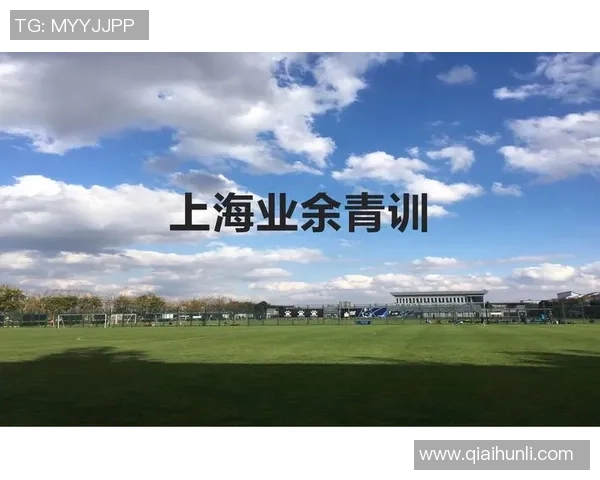 足球赛事等级解析从业余联赛到国际大赛的全面探讨与比较