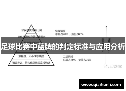 足球比赛中蓝牌的判定标准与应用分析