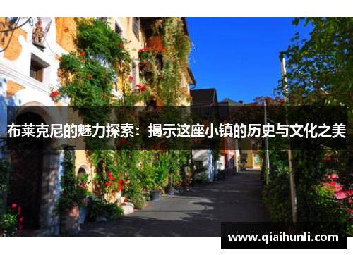 布莱克尼的魅力探索：揭示这座小镇的历史与文化之美