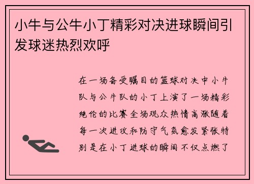 小牛与公牛小丁精彩对决进球瞬间引发球迷热烈欢呼
