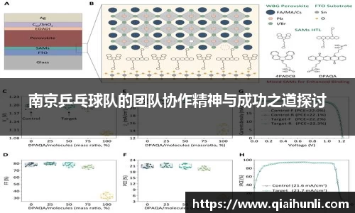 南京乒乓球队的团队协作精神与成功之道探讨